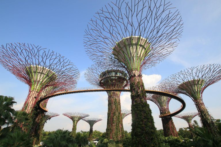 Gardens By the Bay Supertrees