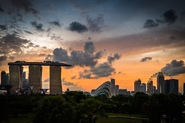 What Are The Steps When Applying For Singapore PR?