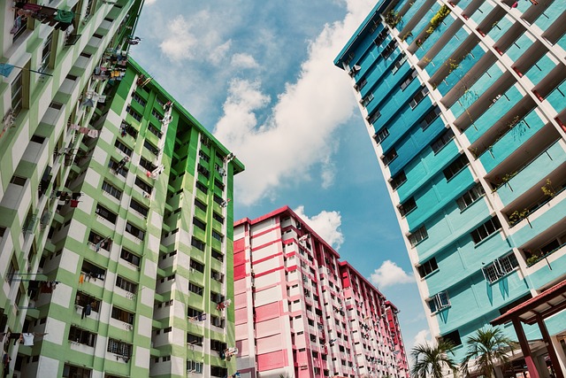 Can Singapore PRs Buy HDB Flats?